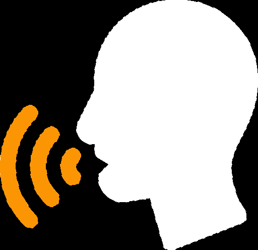 voice icon