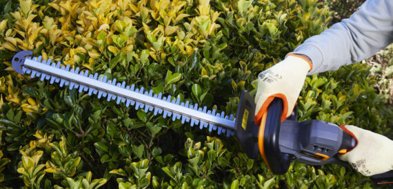 Aguri T20V cordless power hedge trimmer