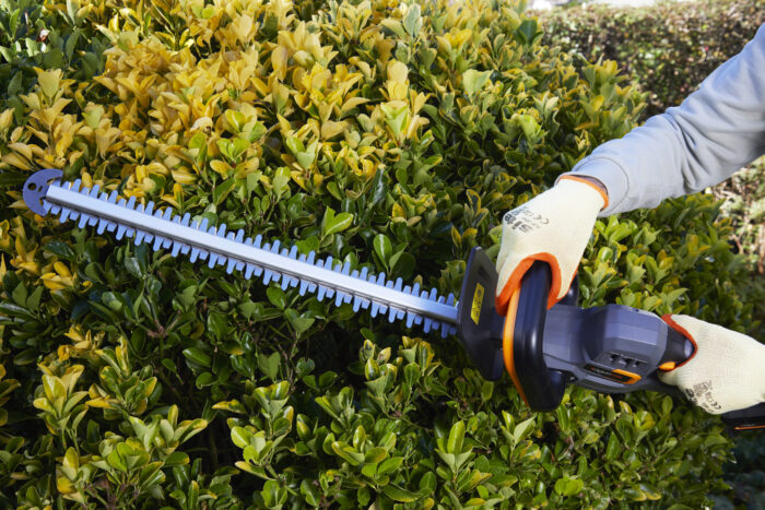 Aguri T20V cordless power hedge trimmer