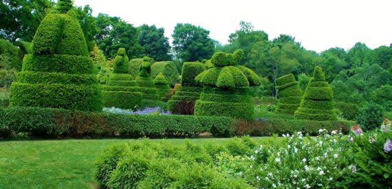 landscaped garden with complex trimmed hedges